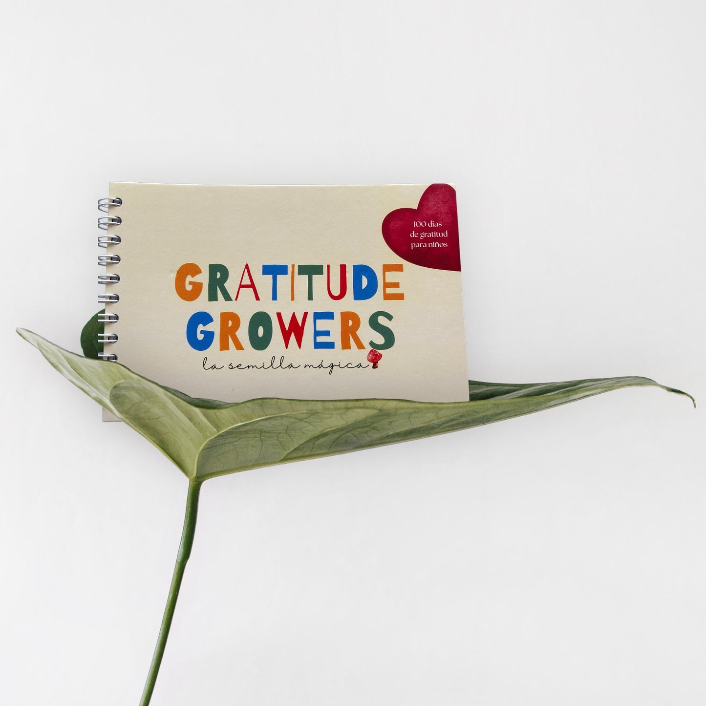 Diario de Gratitud para niños